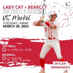 Softball & Baseball